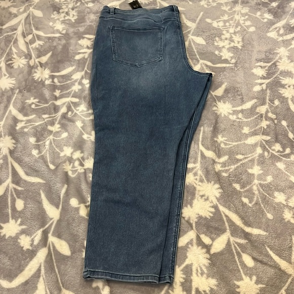 NWT DG2 Diane Gilman Skinny Jeans- Blue distressed Zip Up Stretch  SZ 22WP - Picture 1 of 10